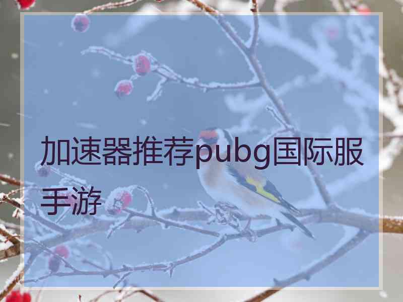 加速器推荐pubg国际服手游