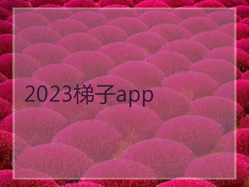 2023梯子app