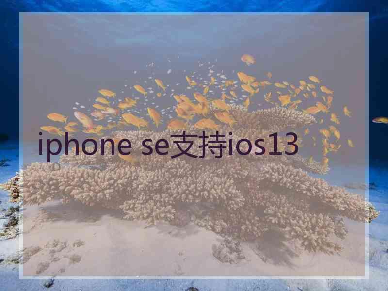 iphone se支持ios13