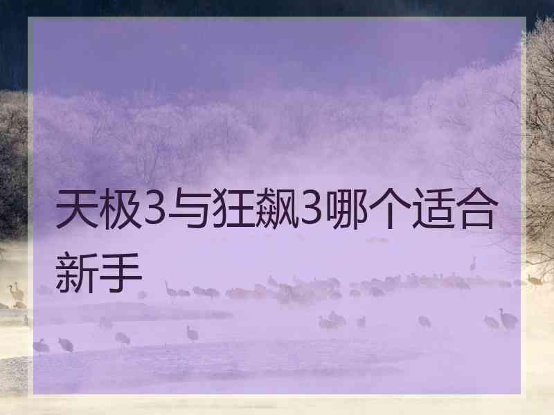 天极3与狂飙3哪个适合新手