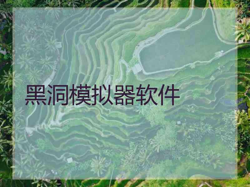 黑洞模拟器软件