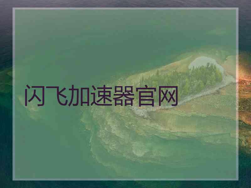 闪飞加速器官网