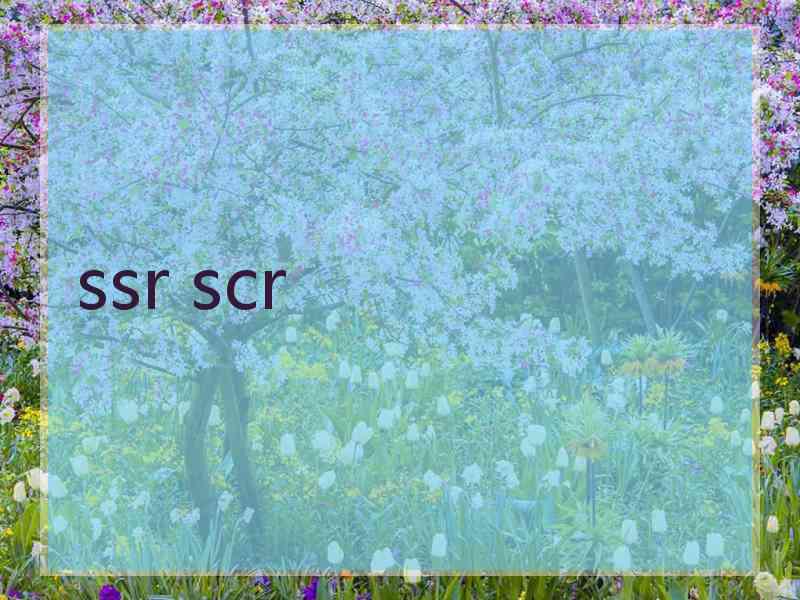 ssr scr