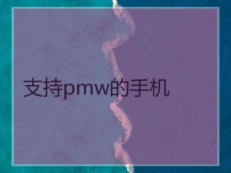 支持pmw的手机