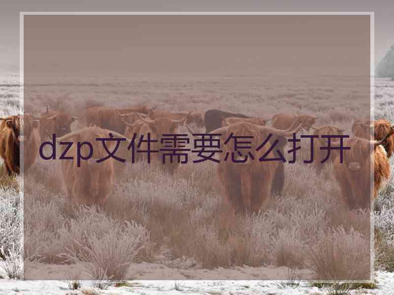 dzp文件需要怎么打开