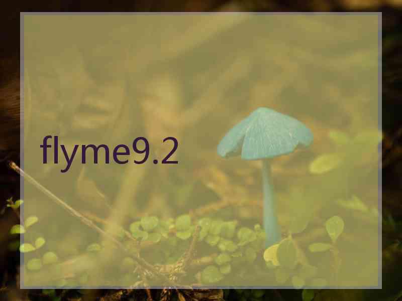 flyme9.2
