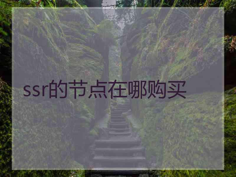 ssr的节点在哪购买