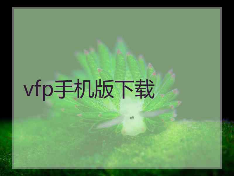 vfp手机版下载