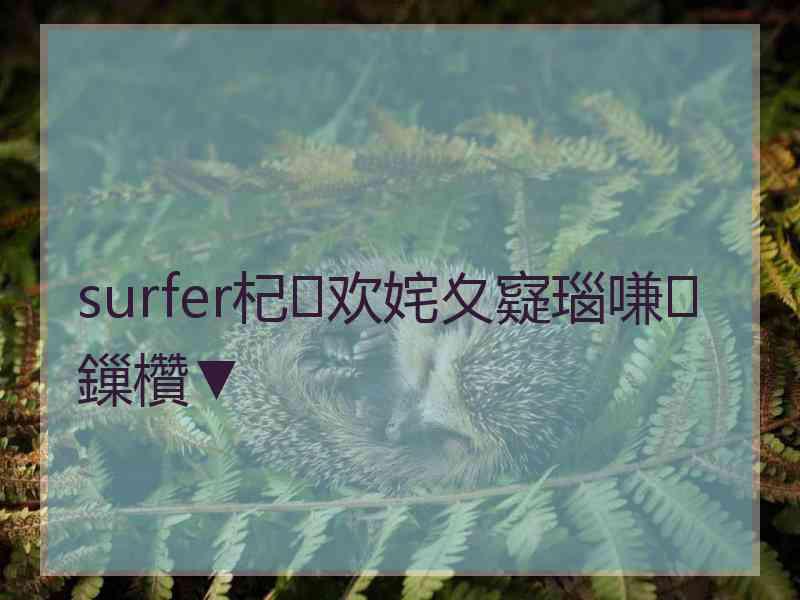 surfer杞欢姹夊寲瑙嗛鏁欑▼