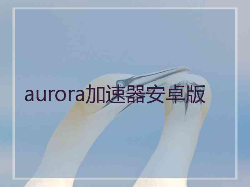 aurora加速器安卓版