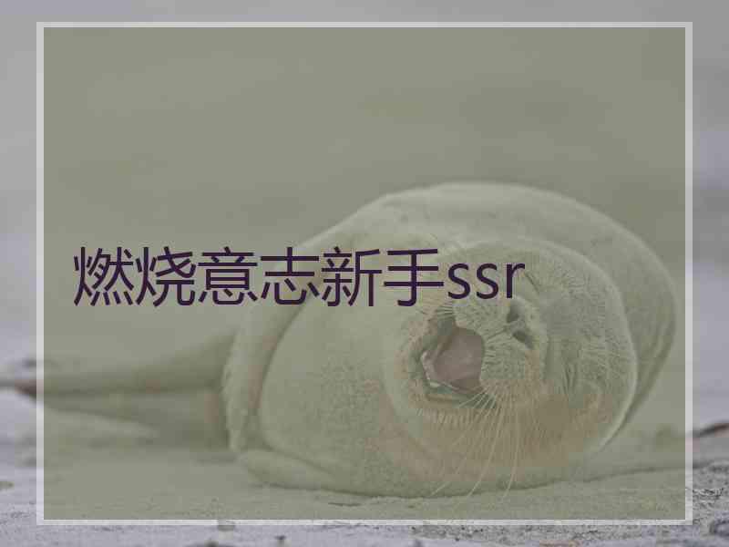 燃烧意志新手ssr