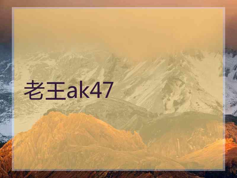 老王ak47