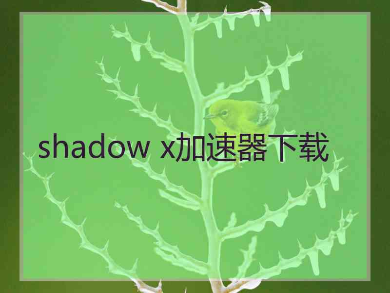 shadow x加速器下载