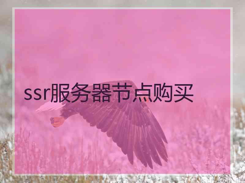 ssr服务器节点购买