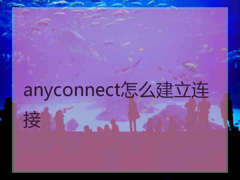 anyconnect怎么建立连接