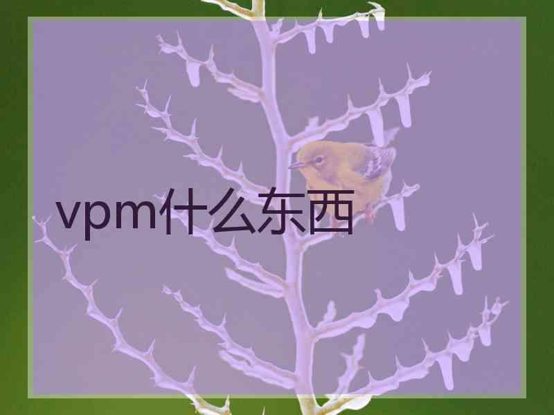 vpm什么东西