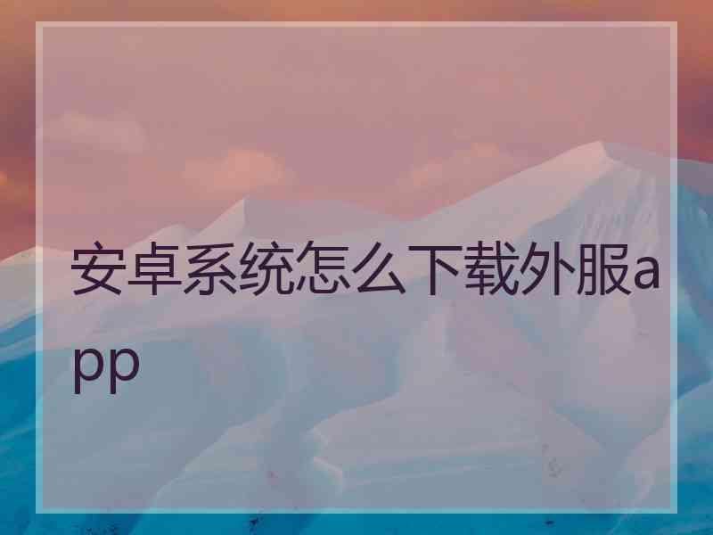 安卓系统怎么下载外服app