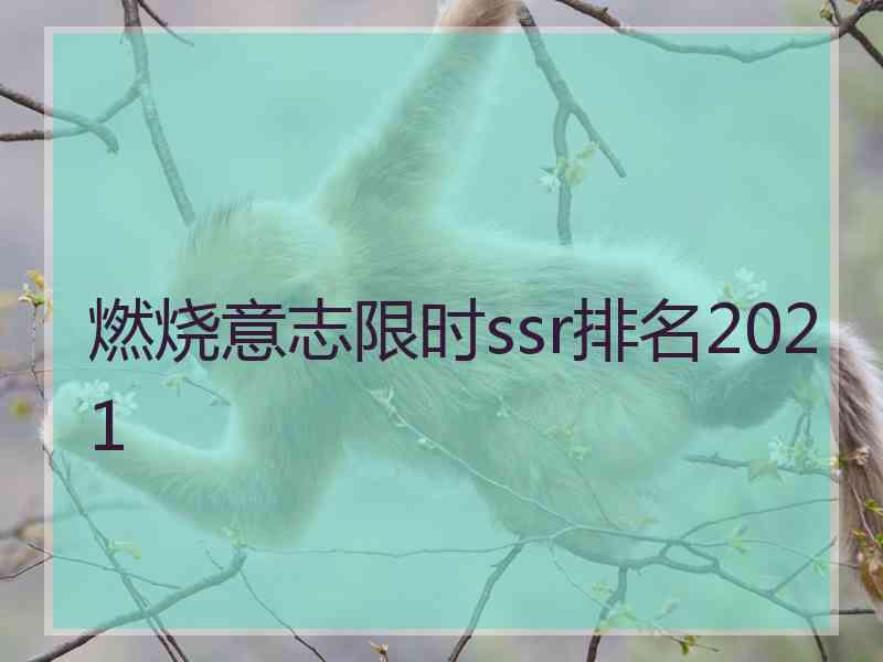 燃烧意志限时ssr排名2021