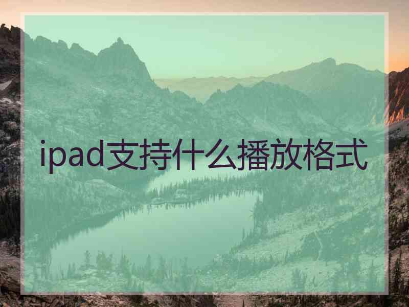 ipad支持什么播放格式