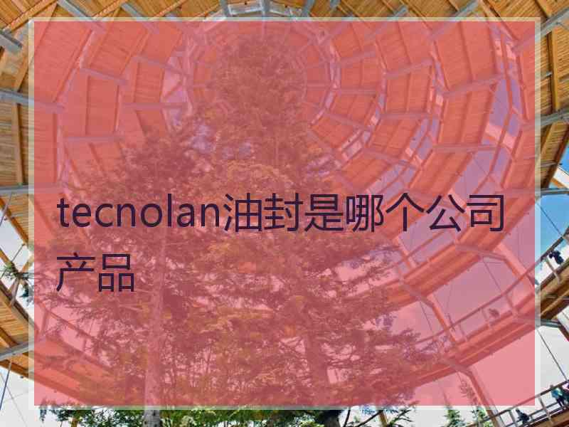 tecnolan油封是哪个公司产品