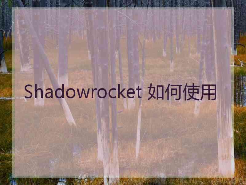 Shadowrocket 如何使用