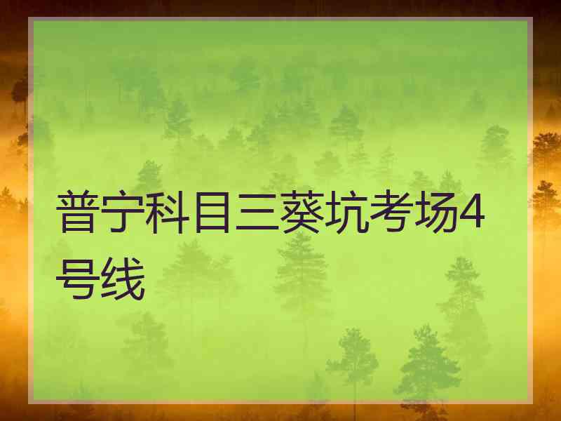 普宁科目三葵坑考场4号线