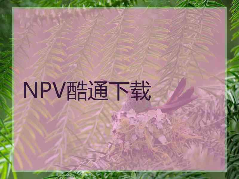 NPV酷通下载