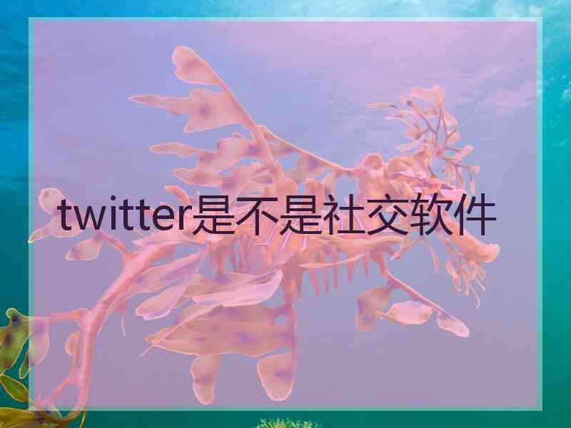 twitter是不是社交软件