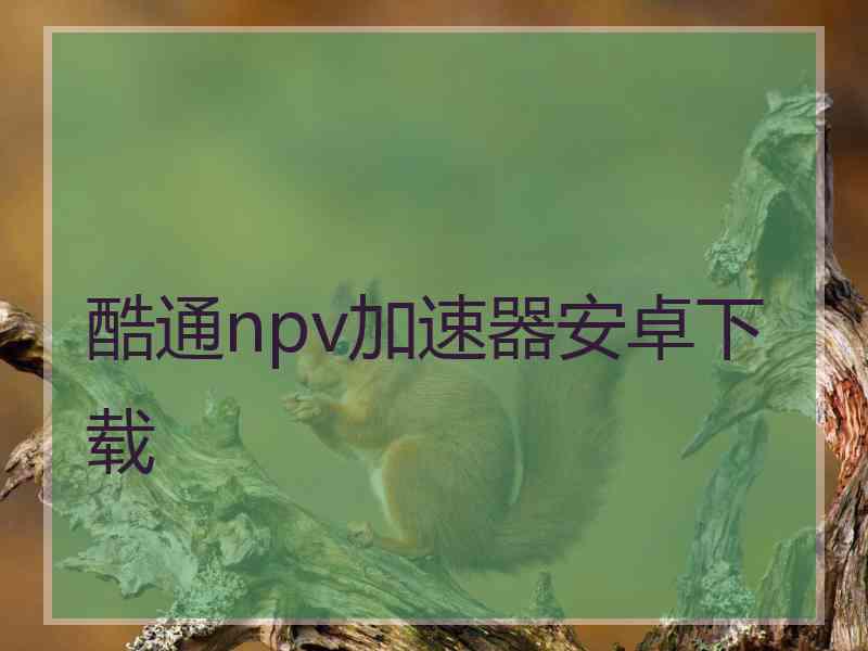 酷通npv加速器安卓下载