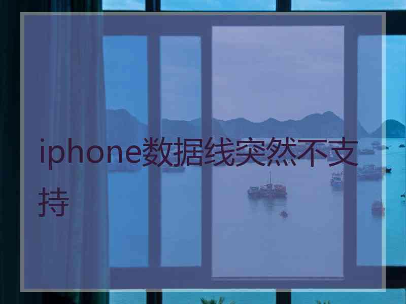 iphone数据线突然不支持