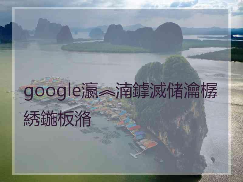 google瀛︽湳鎼滅储瀹樼綉鍦板潃