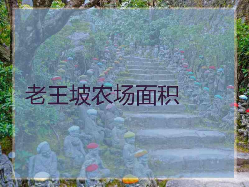 老王坡农场面积