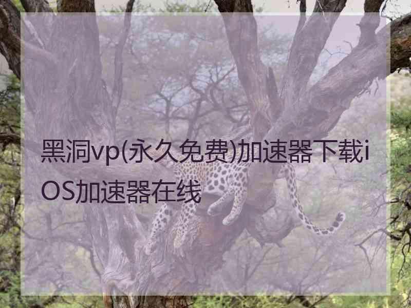 黑洞vp(永久免费)加速器下载iOS加速器在线