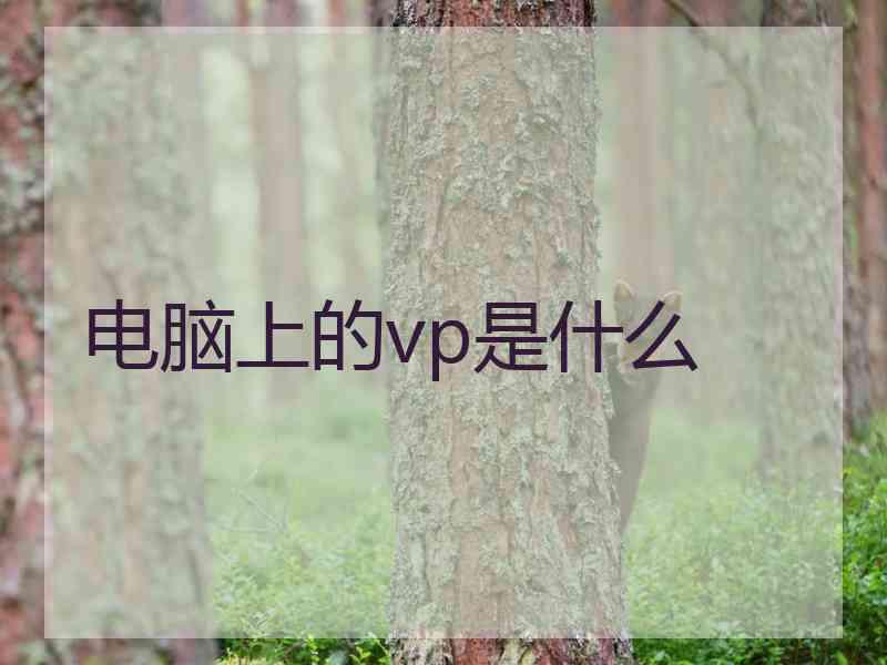 电脑上的vp是什么