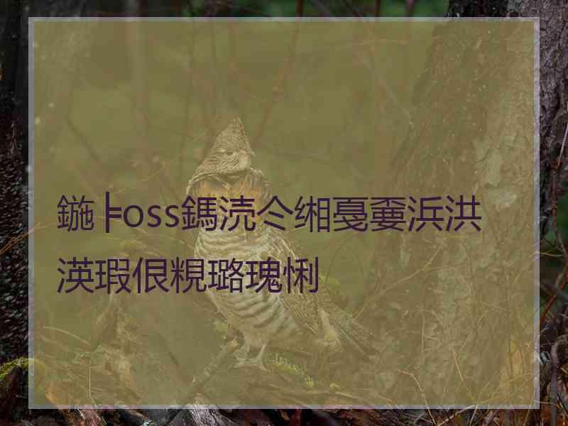 鍦╞oss鎷涜仒缃戞嫑浜洪渶瑕佷粯璐瑰悧