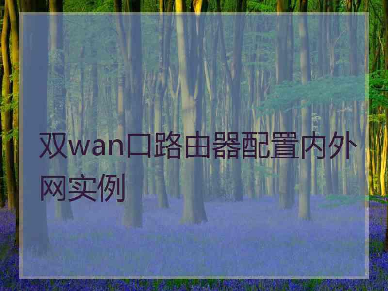 双wan口路由器配置内外网实例