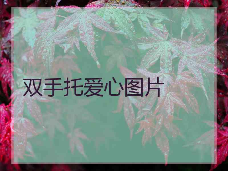 双手托爱心图片