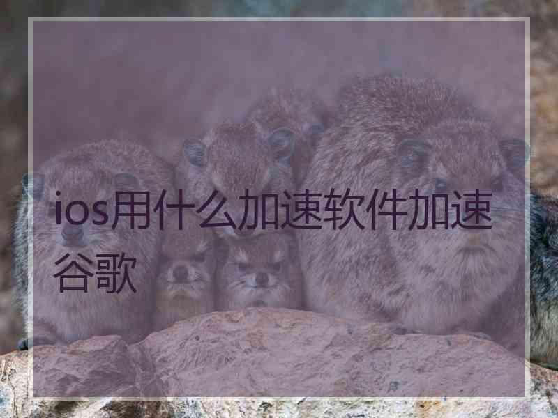 ios用什么加速软件加速谷歌