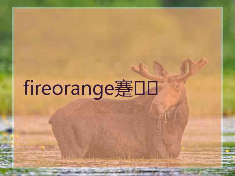 fireorange蹇