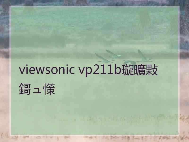 viewsonic vp211b璇曠敤鎶ュ憡