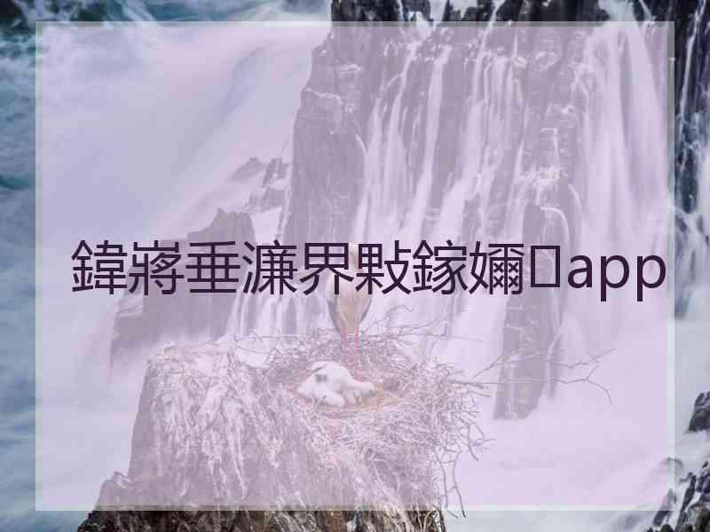 鍏嶈垂濂界敤鎵嬭app