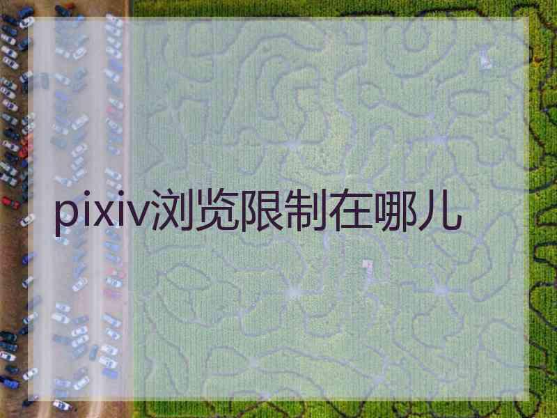 pixiv浏览限制在哪儿