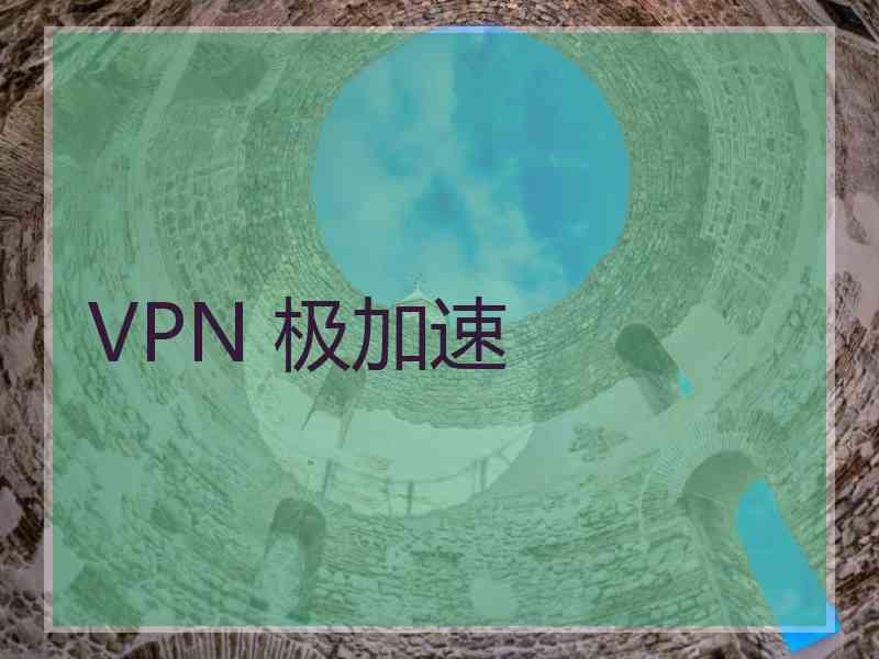 VPN 极加速