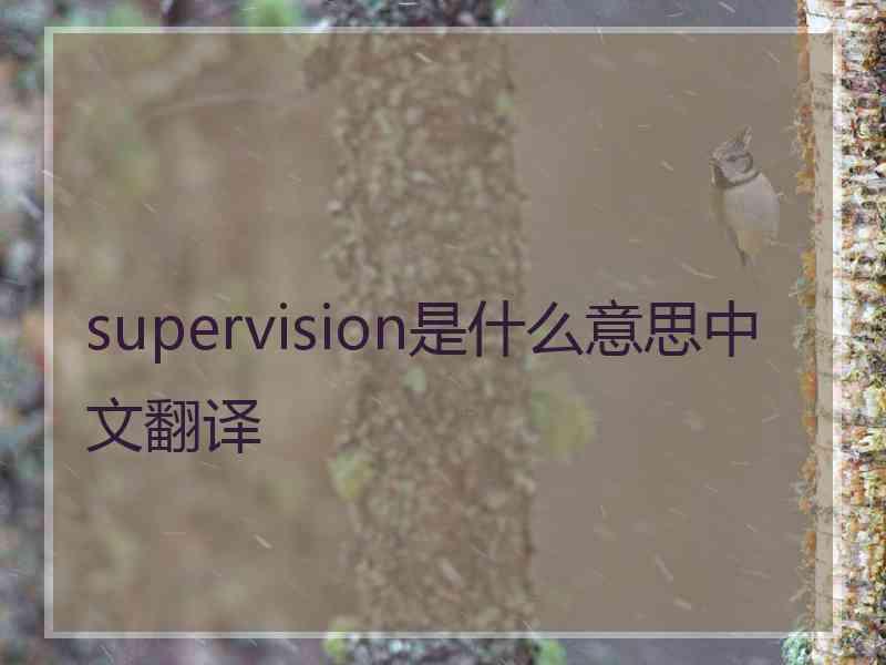 supervision是什么意思中文翻译