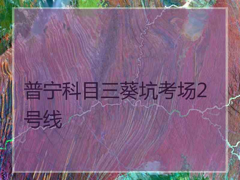 普宁科目三葵坑考场2号线