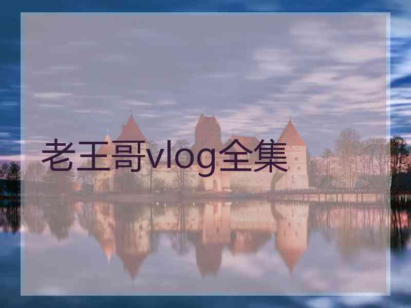 老王哥vlog全集