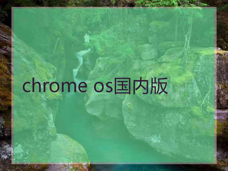 chrome os国内版