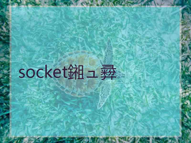 socket鎺ュ彛