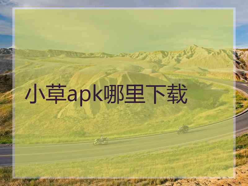 小草apk哪里下载