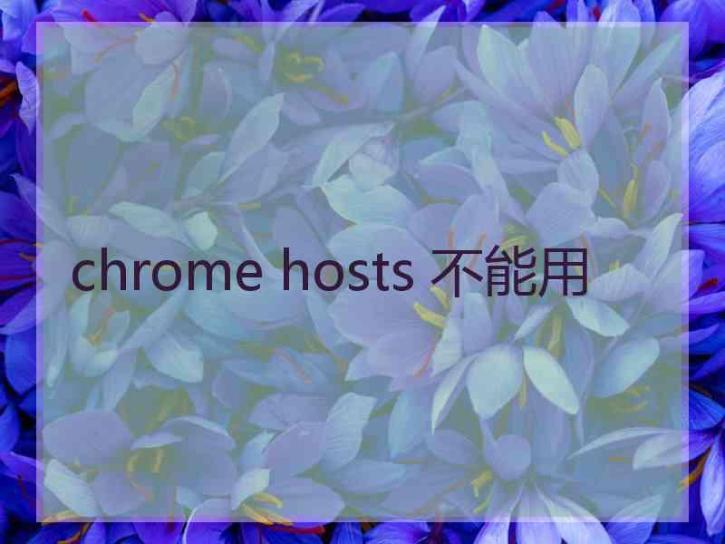 chrome hosts 不能用